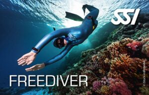SSI Freediver – Upgrade von Pool Freediver