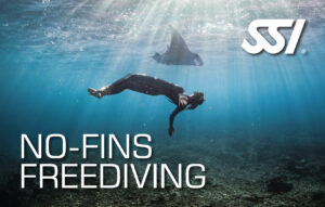 SSI No Fins Freediver (DNF)