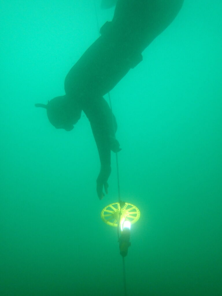 Freediver Kurs für Tauschule Luzern